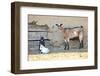 Goats-manchu-Framed Photographic Print