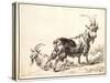 Goats-Nicolaes Pietersz. Berchem-Stretched Canvas