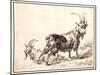 Goats-Nicolaes Pietersz. Berchem-Mounted Giclee Print