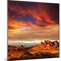 Gobi Desert-Andrushko Galyna-Mounted Photographic Print