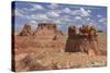 Goblin Rocks in Goblin Valley State Park, Utah, USA-Mark Taylor-Stretched Canvas