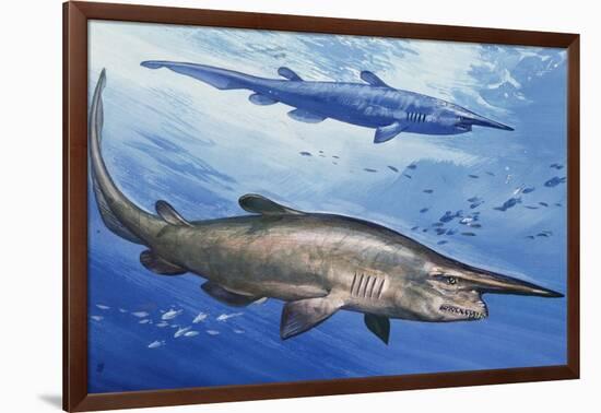 Goblin Shark (Mitsukurina Owstoni or Scapanorhynchus Owstoni), Mitsukurinidae-null-Framed Giclee Print