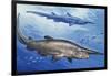 Goblin Shark (Mitsukurina Owstoni or Scapanorhynchus Owstoni), Mitsukurinidae-null-Framed Giclee Print