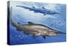 Goblin Shark (Mitsukurina Owstoni or Scapanorhynchus Owstoni), Mitsukurinidae-null-Stretched Canvas