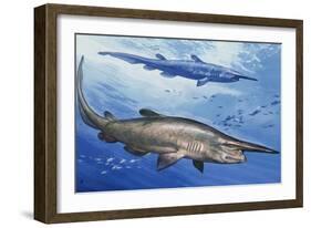 Goblin Shark (Mitsukurina Owstoni or Scapanorhynchus Owstoni), Mitsukurinidae-null-Framed Giclee Print