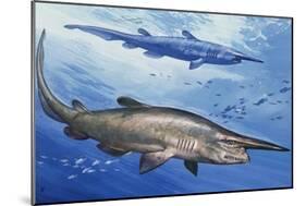 Goblin Shark (Mitsukurina Owstoni or Scapanorhynchus Owstoni), Mitsukurinidae-null-Mounted Giclee Print