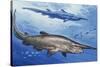 Goblin Shark (Mitsukurina Owstoni or Scapanorhynchus Owstoni), Mitsukurinidae-null-Stretched Canvas
