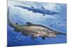 Goblin Shark (Mitsukurina Owstoni or Scapanorhynchus Owstoni), Mitsukurinidae-null-Mounted Giclee Print