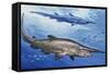 Goblin Shark (Mitsukurina Owstoni or Scapanorhynchus Owstoni), Mitsukurinidae-null-Framed Stretched Canvas