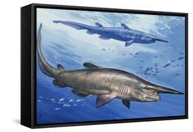 Goblin Shark (Mitsukurina Owstoni or Scapanorhynchus Owstoni), Mitsukurinidae-null-Framed Stretched Canvas