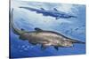 Goblin Shark (Mitsukurina Owstoni or Scapanorhynchus Owstoni), Mitsukurinidae-null-Stretched Canvas