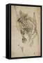 Goblin Sumi Underdrawing on Paper-Yoshitoshi Tsukioka-Framed Stretched Canvas