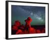 Goblin Valley State Park, Night Sky, Colorado Plateau, Utah, USA-Christian Heeb-Framed Photographic Print