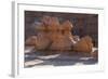 Goblin Valley State Park, Utah, Usa-Rainer Mirau-Framed Photographic Print