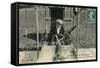 Gobron Voisin Biplane-null-Framed Stretched Canvas