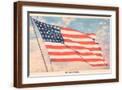 Brown Frame