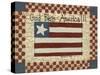 God Bless America-Debbie McMaster-Stretched Canvas