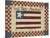 God Bless America-Debbie McMaster-Stretched Canvas