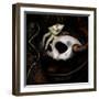 God Child-Meiya Y-Framed Giclee Print