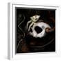 God Child-Meiya Y-Framed Giclee Print