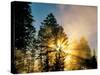 God Rays from Morning Fog Along the Madison River, Yellowstone National Park, Wyoming, USA-Chuck Haney-Stretched Canvas