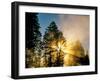 God Rays from Morning Fog Along the Madison River, Yellowstone National Park, Wyoming, USA-Chuck Haney-Framed Premium Photographic Print