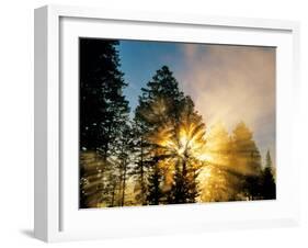 God Rays from Morning Fog Along the Madison River, Yellowstone National Park, Wyoming, USA-Chuck Haney-Framed Premium Photographic Print