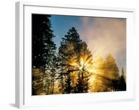 God Rays from Morning Fog Along the Madison River, Yellowstone National Park, Wyoming, USA-Chuck Haney-Framed Photographic Print