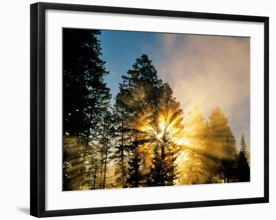 God Rays from Morning Fog Along the Madison River, Yellowstone National Park, Wyoming, USA-Chuck Haney-Framed Photographic Print
