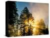 God Rays from Morning Fog Along the Madison River, Yellowstone National Park, Wyoming, USA-Chuck Haney-Stretched Canvas