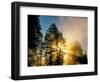 God Rays from Morning Fog Along the Madison River, Yellowstone National Park, Wyoming, USA-Chuck Haney-Framed Photographic Print