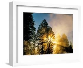 God Rays from Morning Fog Along the Madison River, Yellowstone National Park, Wyoming, USA-Chuck Haney-Framed Photographic Print