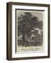 God's Acre-Samuel Read-Framed Giclee Print