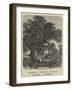 God's Acre-Samuel Read-Framed Giclee Print