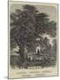 God's Acre-Samuel Read-Mounted Giclee Print