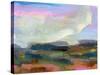 God's Country  I-Marabeth Quin-Stretched Canvas