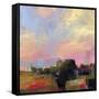 God's Country  IV-Marabeth Quin-Framed Stretched Canvas