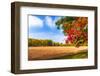 God's Patchwork Quilt-Philippe Sainte-Laudy-Framed Photographic Print