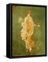 Goddess Flora, or Spring, Roman, Fresco, from Villa di Arianna-null-Framed Stretched Canvas