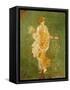 Goddess Flora, or Spring, Roman, Fresco, from Villa di Arianna-null-Framed Stretched Canvas
