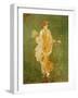 Goddess Flora, or Spring, Roman, Fresco, from Villa di Arianna-null-Framed Giclee Print