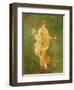 Goddess Flora, or Spring, Roman, Fresco, from Villa di Arianna-null-Framed Giclee Print