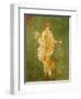 Goddess Flora, or Spring, Roman, Fresco, from Villa di Arianna-null-Framed Giclee Print