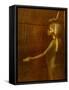 Goddess Selket, Tutankhamun Gold Canopic Shrine, Valley of the Kings, Egyptian Museum, Cairo, Egypt-Kenneth Garrett-Framed Stretched Canvas