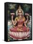 Goddess Srhi Sentamarai Laximi, Wife of Vishnu-null-Framed Stretched Canvas