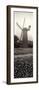 Goden Gate Park Pano #3-Alan Blaustein-Framed Photographic Print