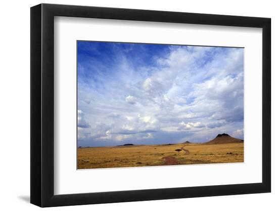 Premium Photographic Print, , large