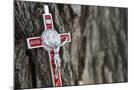 Wood Mount
