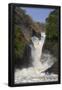 Essential Black