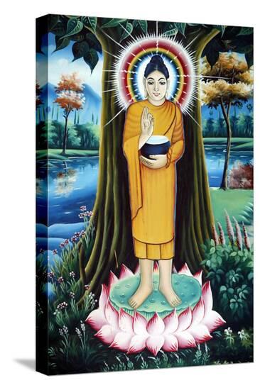 Stretched Canvas Print, , large
